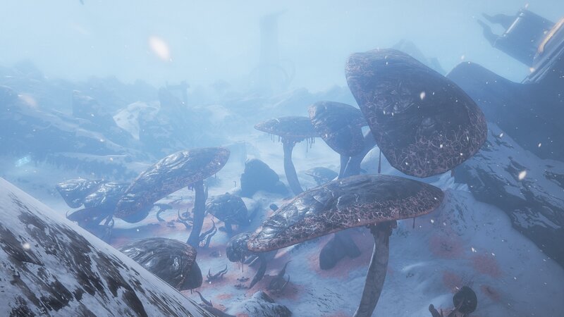 Giant Mushrooms in Snow