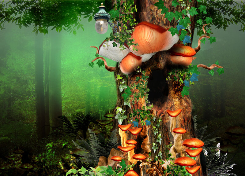 Giant Mushrooms on Tree