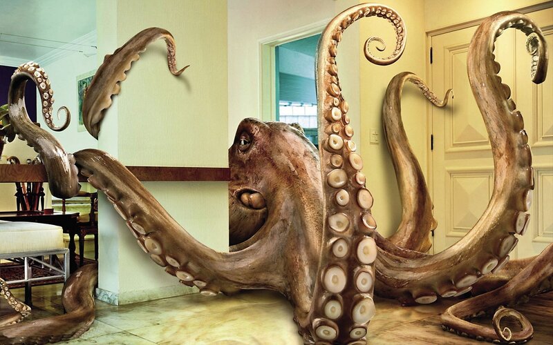 giant octopus in living room