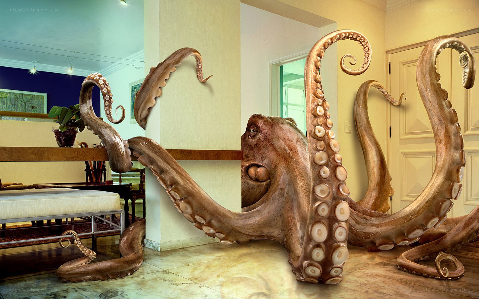 giant octopus in living room