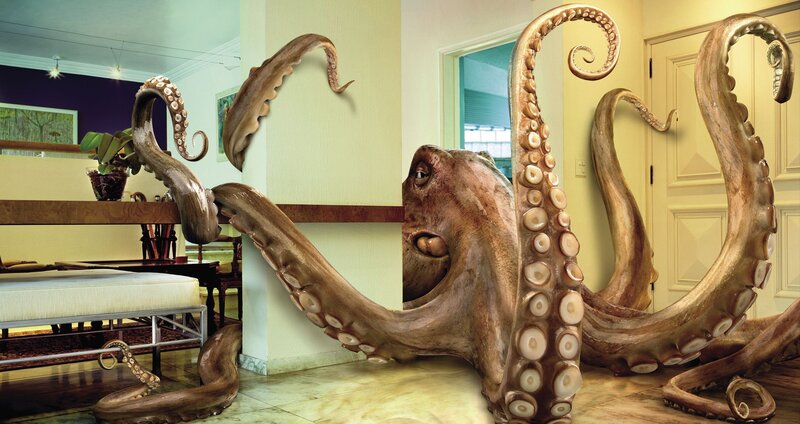 Giant Octopus in Room — Brown, Dramatic