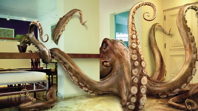 Giant Octopus in Room — Brown, Surreal, Digital Art, Tentacles