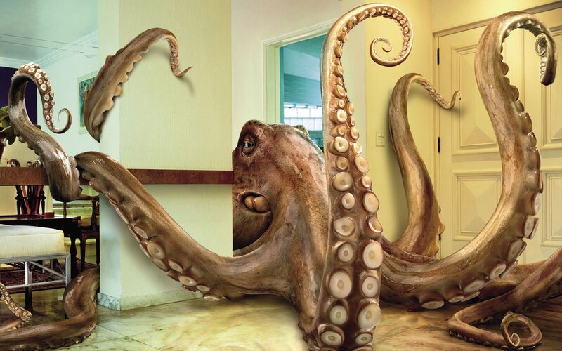Giant Octopus in Room — Brown