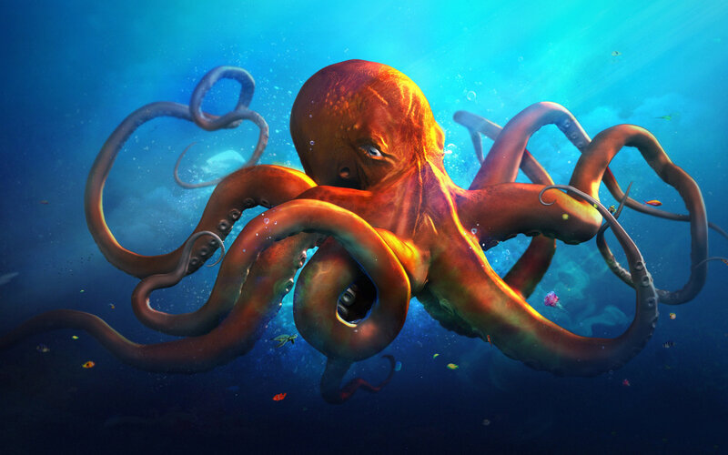 Giant Octopus Underwater