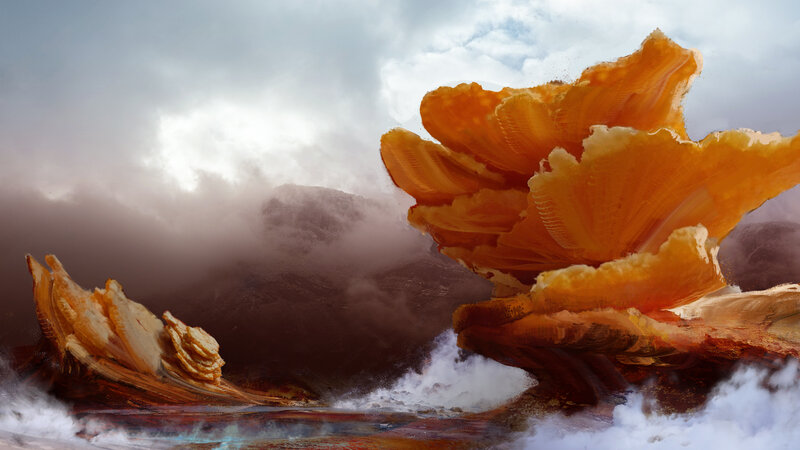 Giant Orange Fungi
