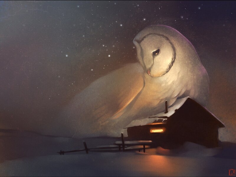 Giant Owl on House