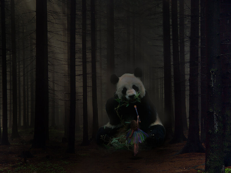 Giant Panda and Girl