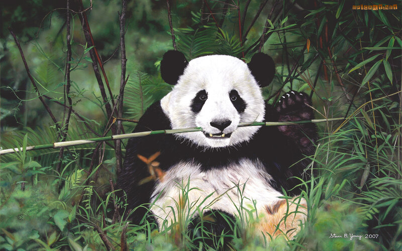 Giant Panda Eating Bamboo — Green, Calm, Illustration, Forest