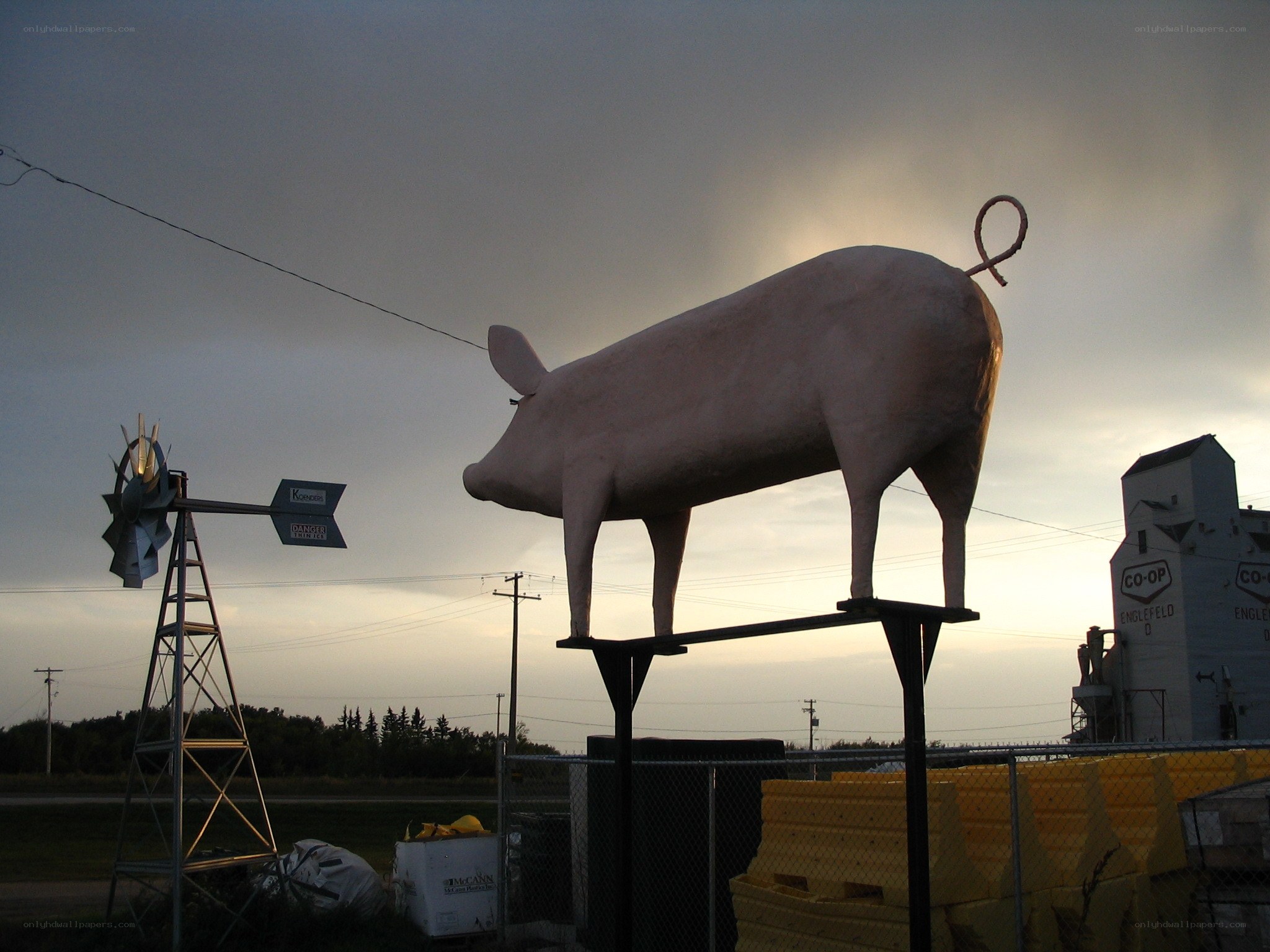 giant pig statue at dusk