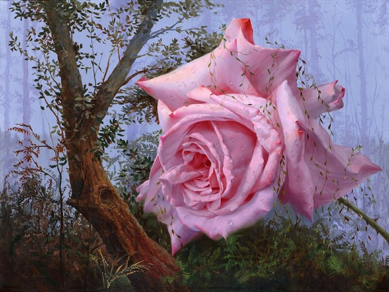 Giant Pink Rose — Serene