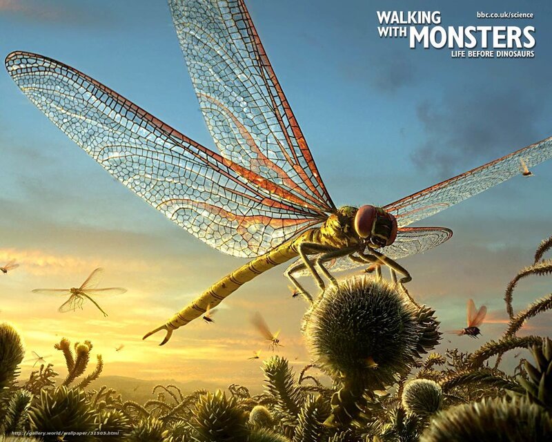 giant prehistoric dragonfly
