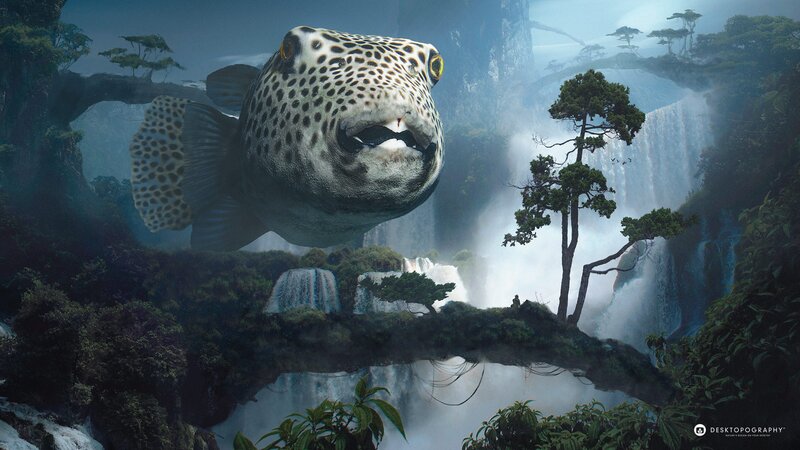 Giant Pufferfish