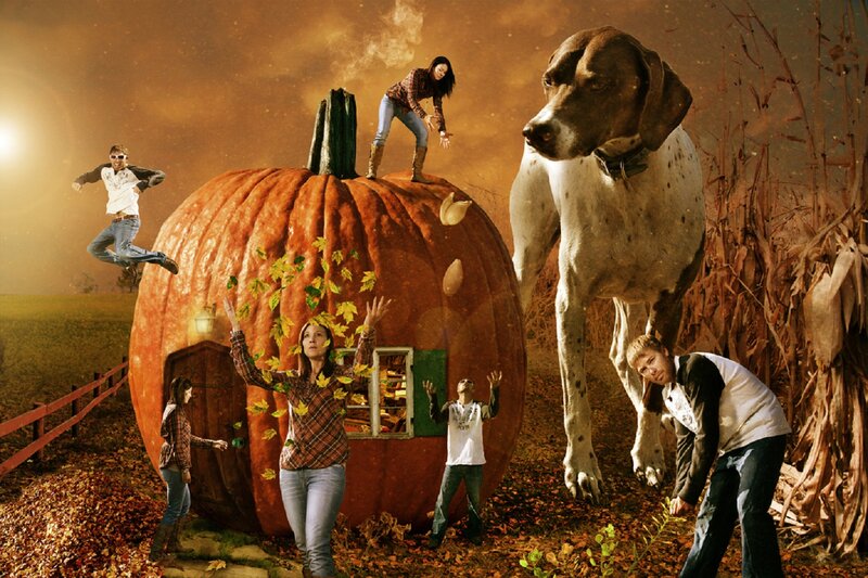 Giant Pumpkin House — Orange