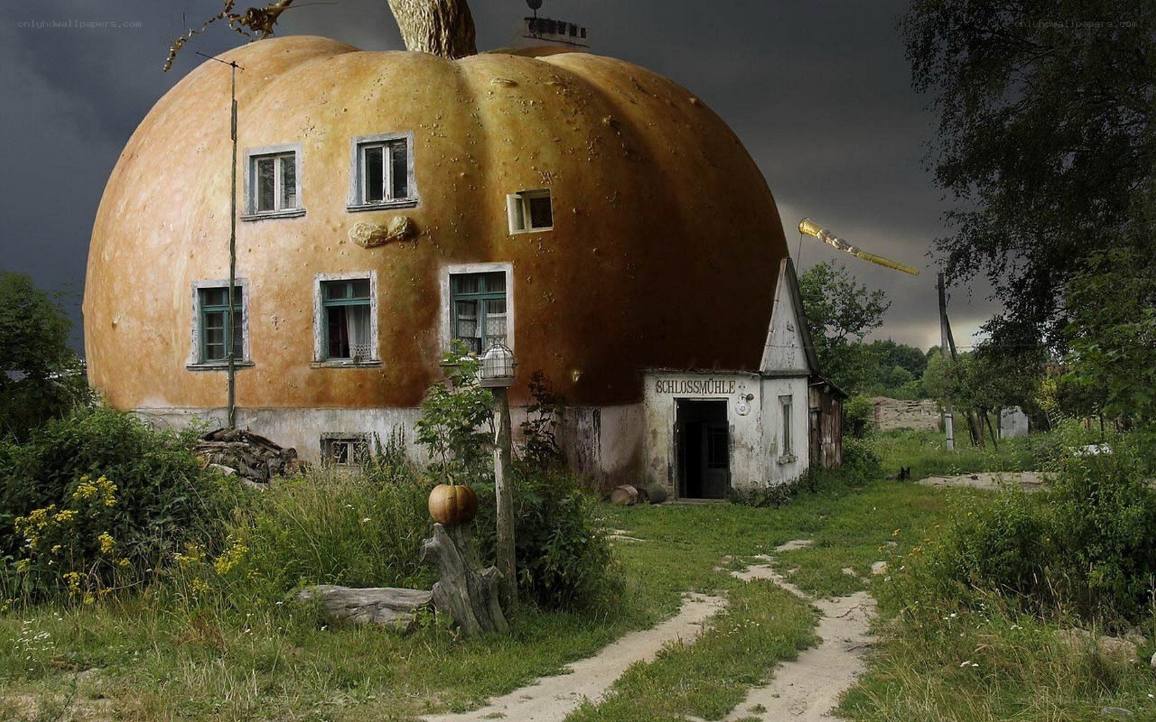 Giant pumpkin house