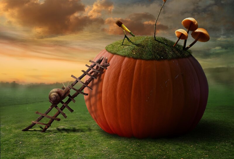 Giant Pumpkin with Snail