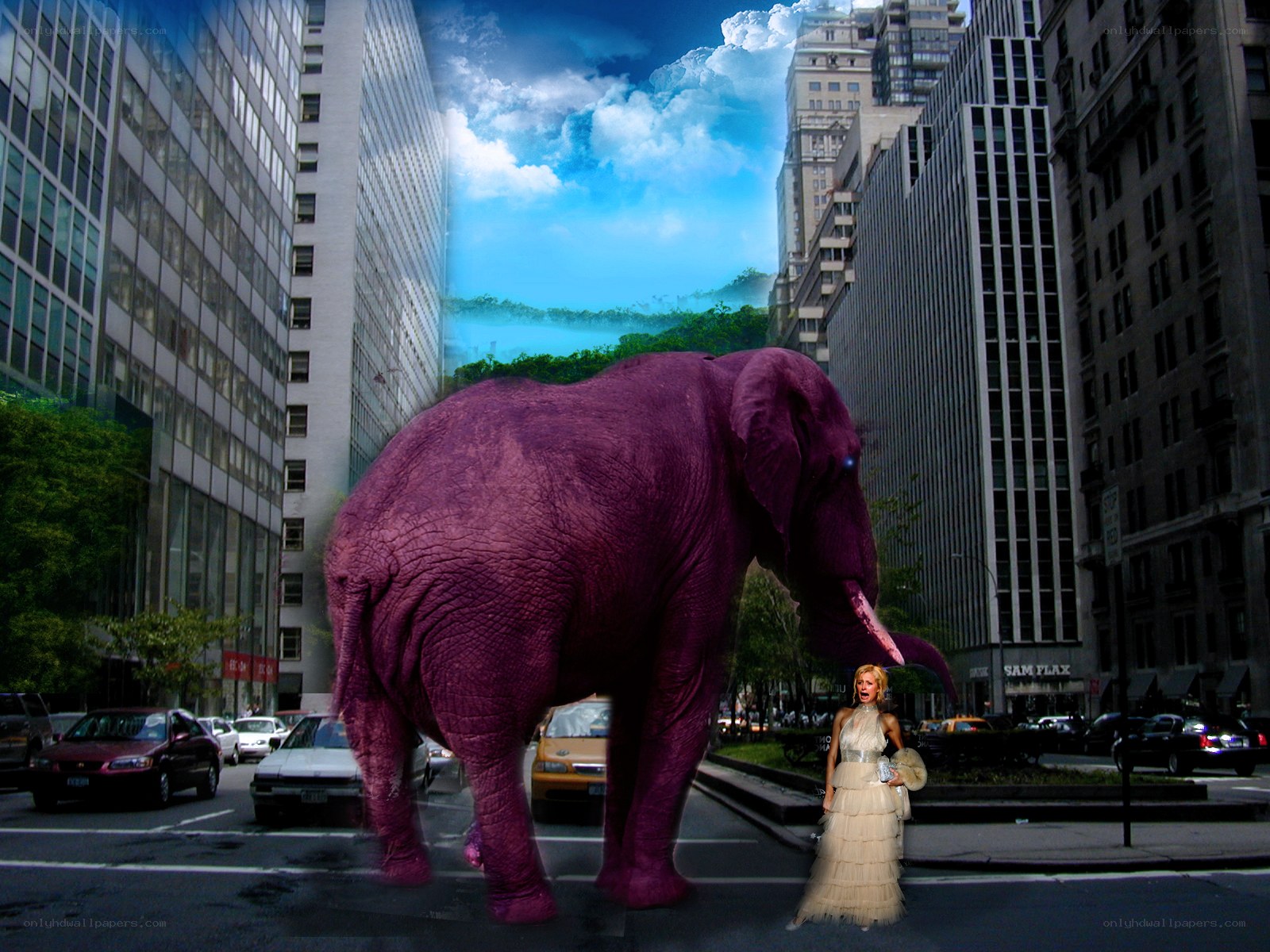 Giant purple elephant in city