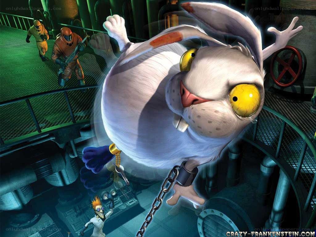giant rabbit in a lab