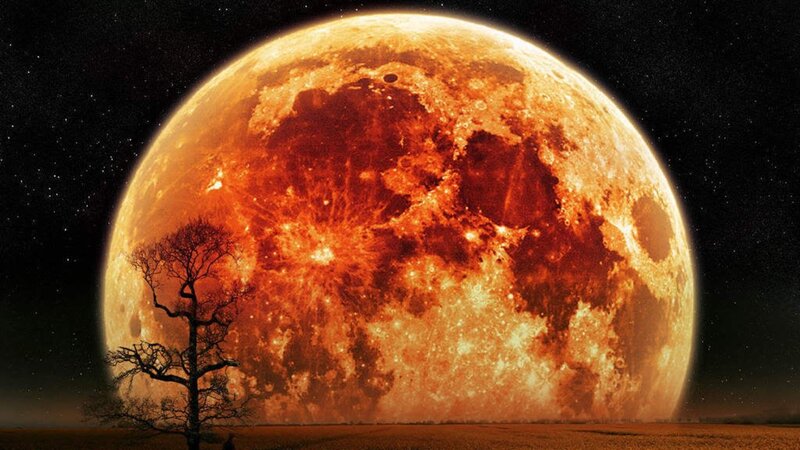 Giant red moon over barren tree