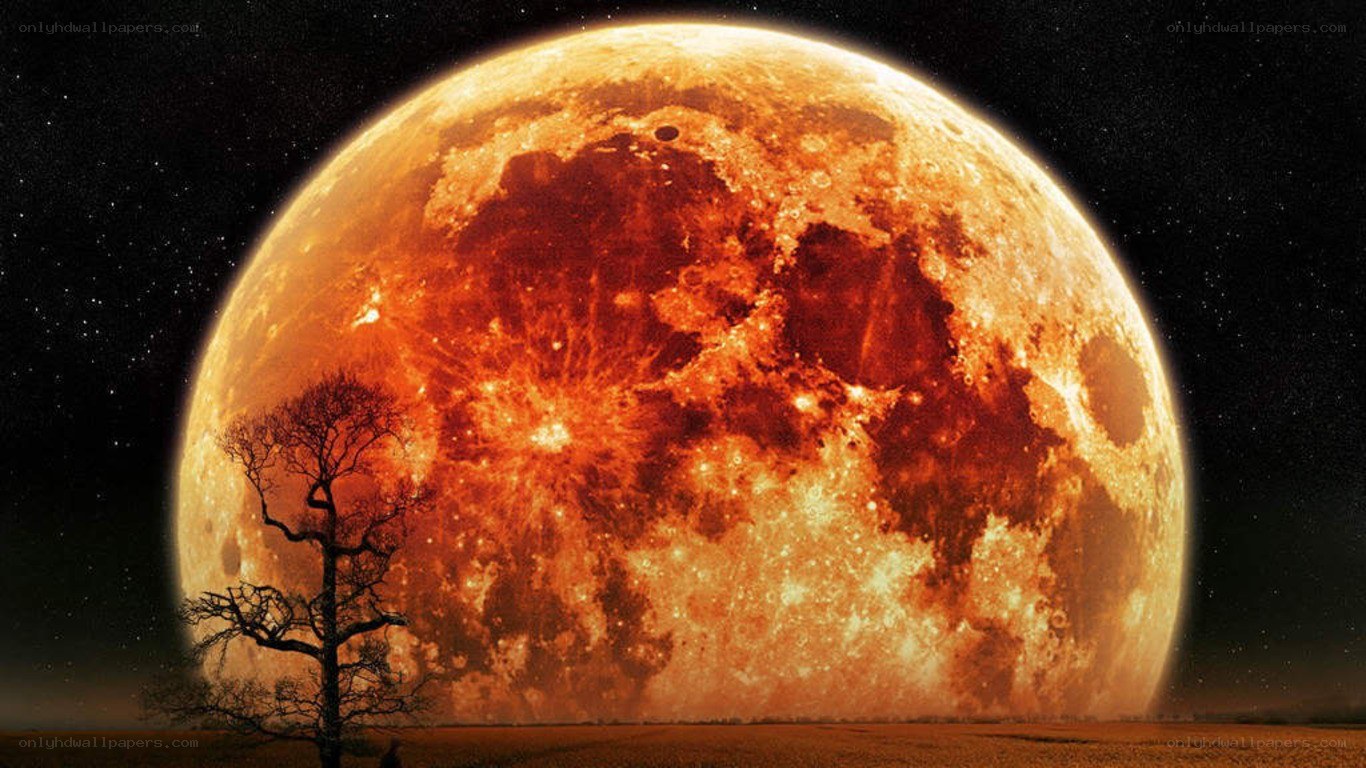 Giant red moon over barren tree