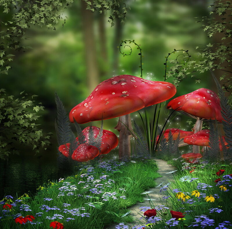 Giant Red Mushrooms