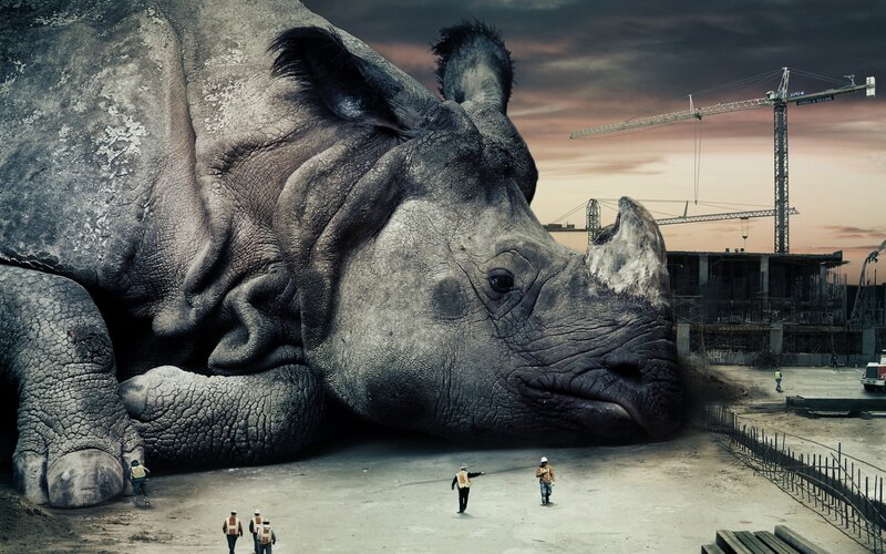 Giant Rhinoceros