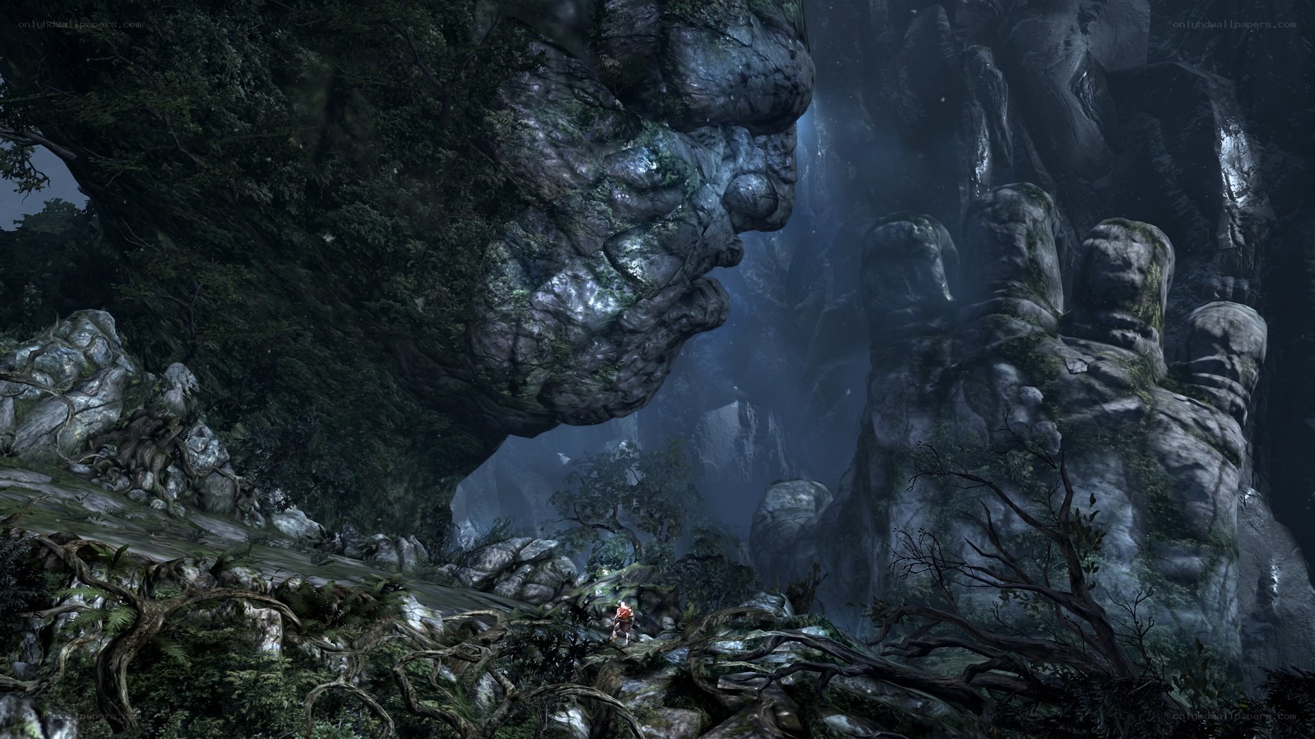 giant rock face in forest