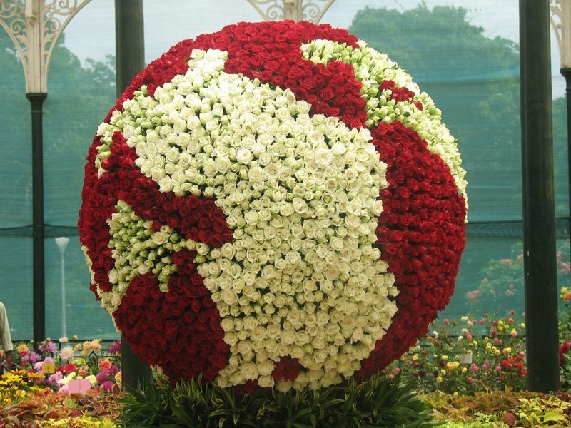 Giant Rose Globe