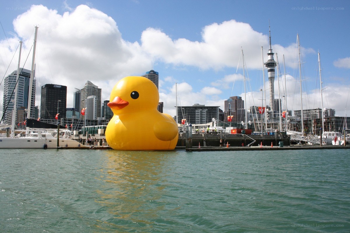 Giant rubber duck in harbor