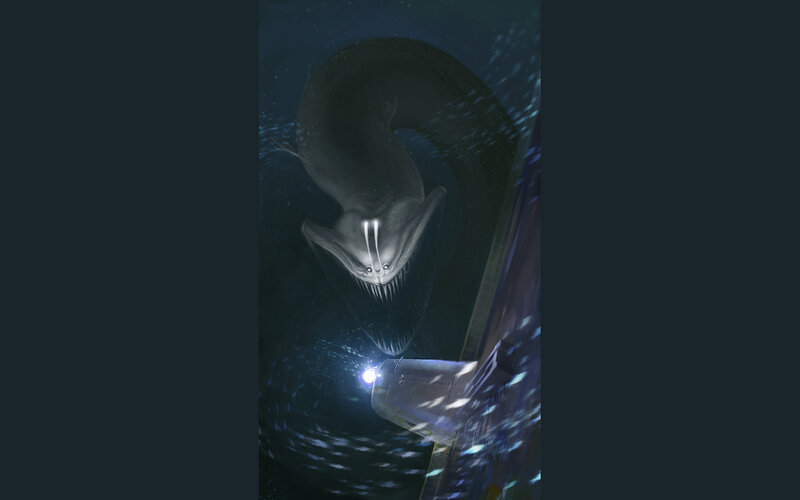 Giant sea creature attacks submarine