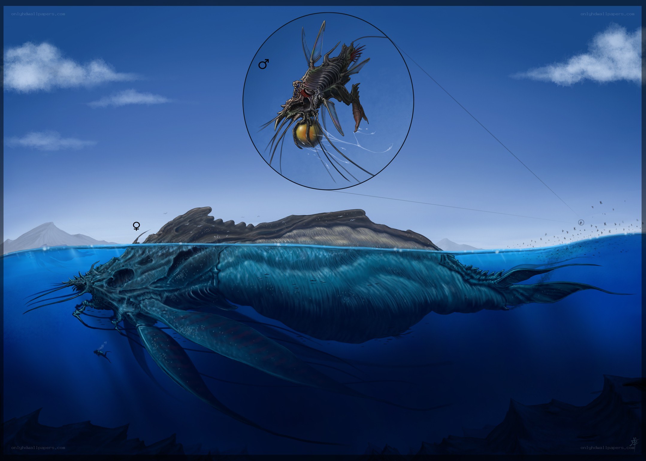 giant sea creature illustration