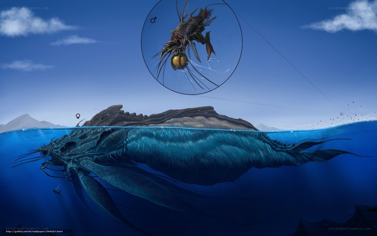 giant sea creature illustration