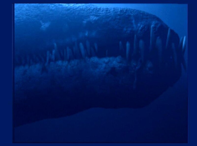giant sea creature with sharp teeth