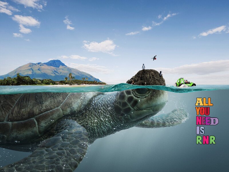 Giant Sea Turtle — Blue, Serene