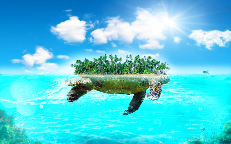 Giant Sea Turtle Island
