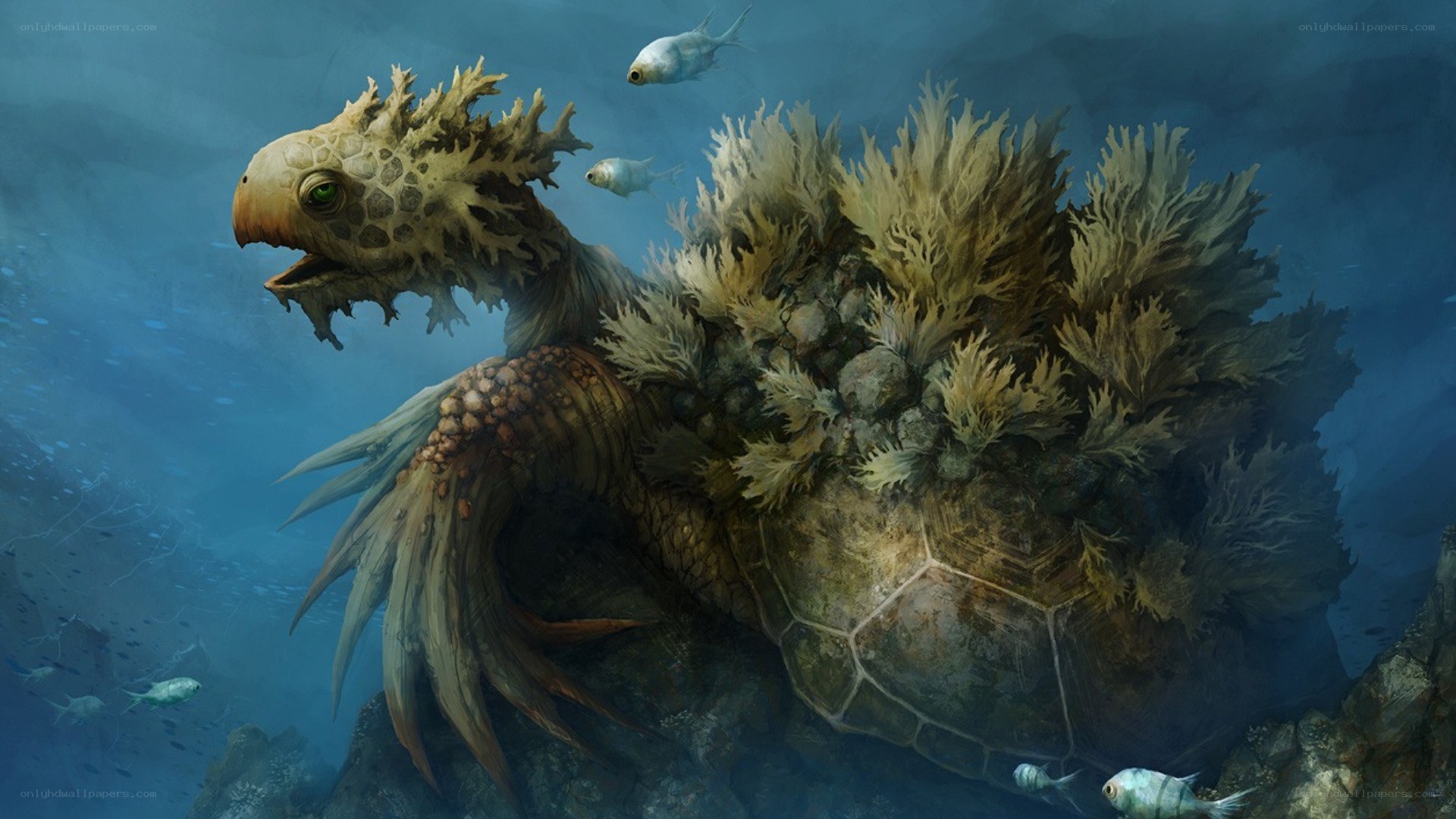 giant sea turtle with seaweed