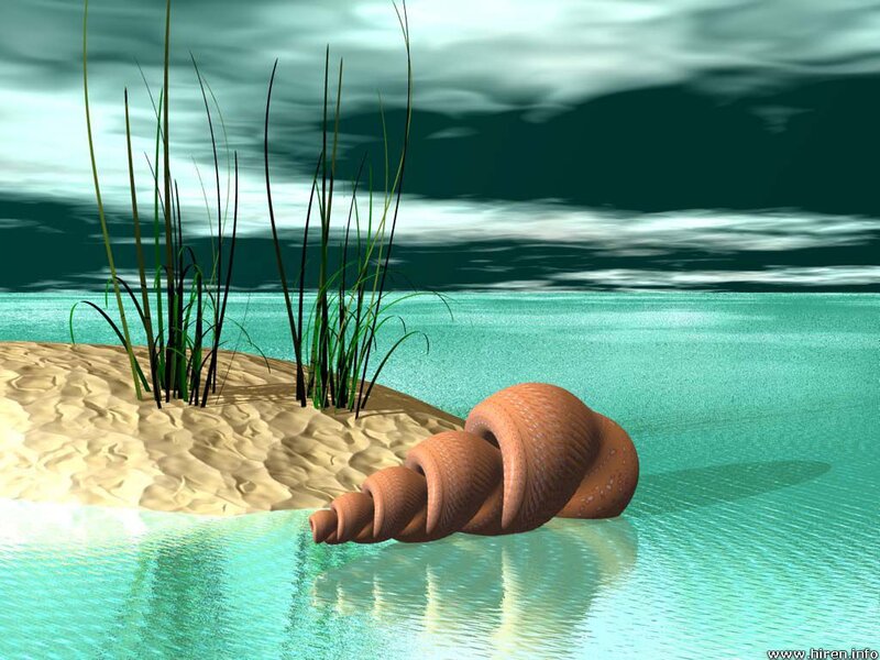 Giant Seashell on Sand