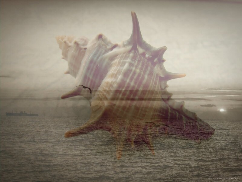 Giant Seashell over Ocean