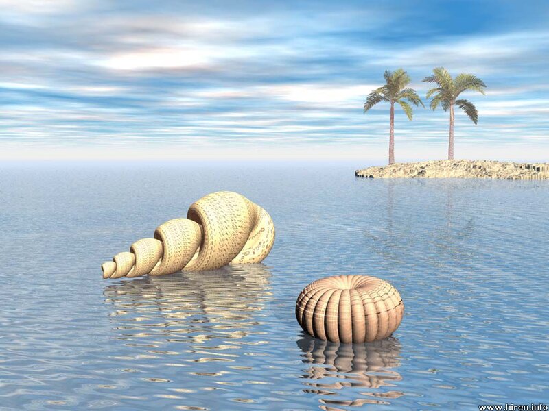 Giant Seashells in Water