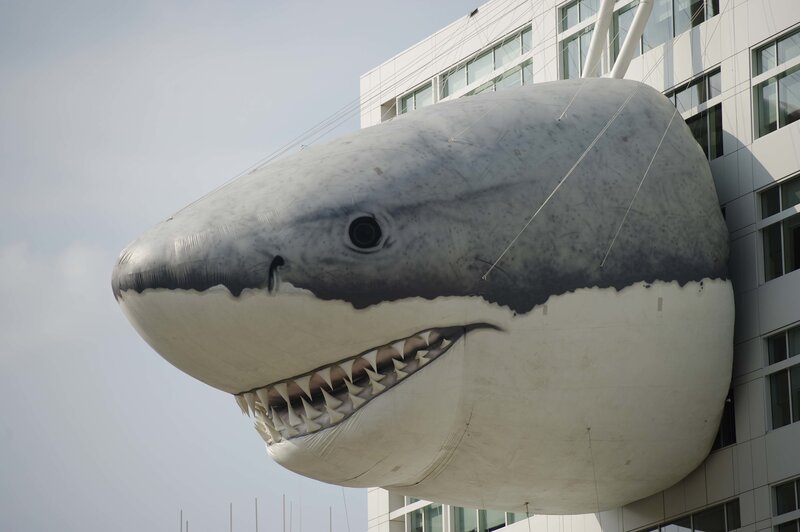 giant shark head sculpture