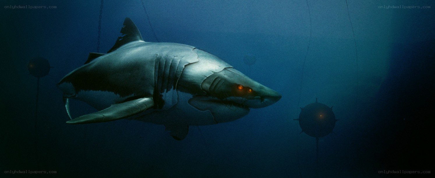 Giant shark in deep water