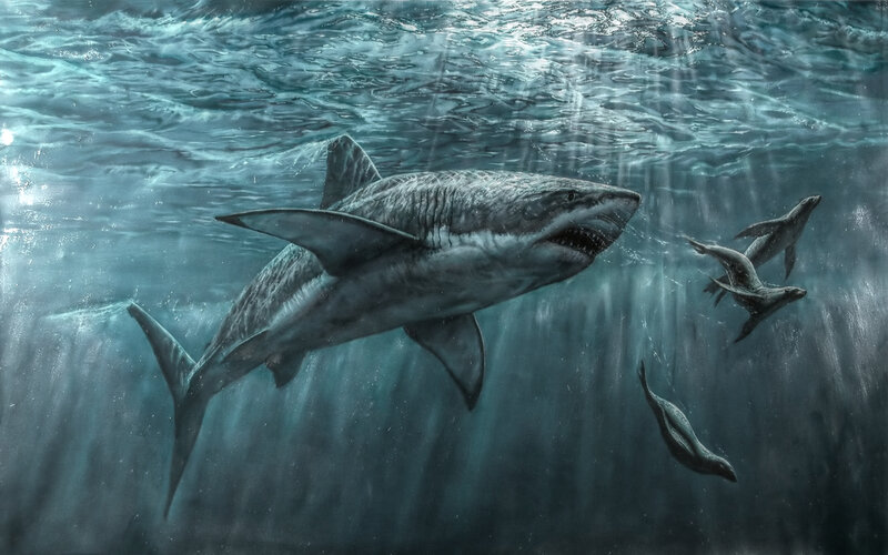 Giant Shark Swimming — Blue, Dramatic