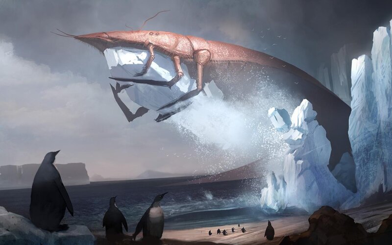 Giant shrimp attacks ice floe