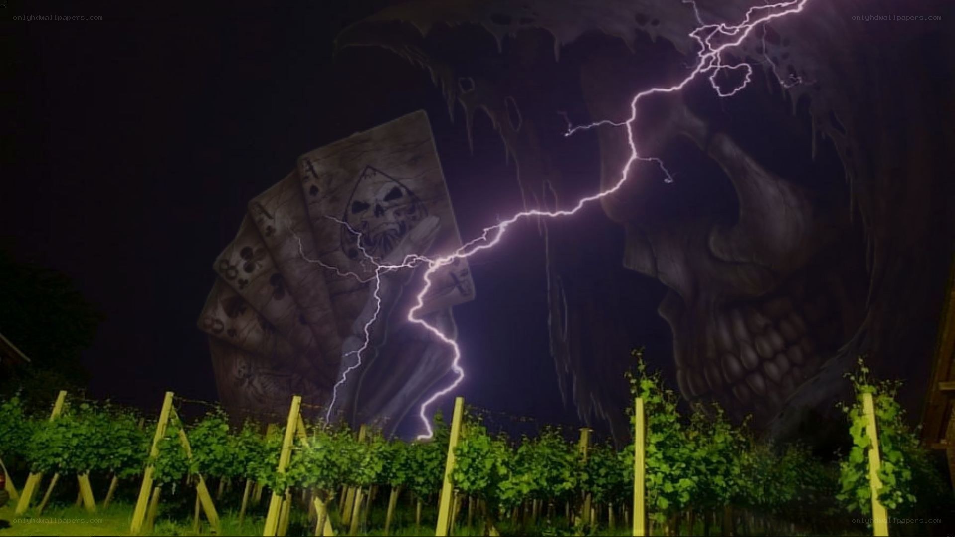 Giant skull mural at night