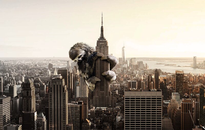 Giant Sloth Climbing Building