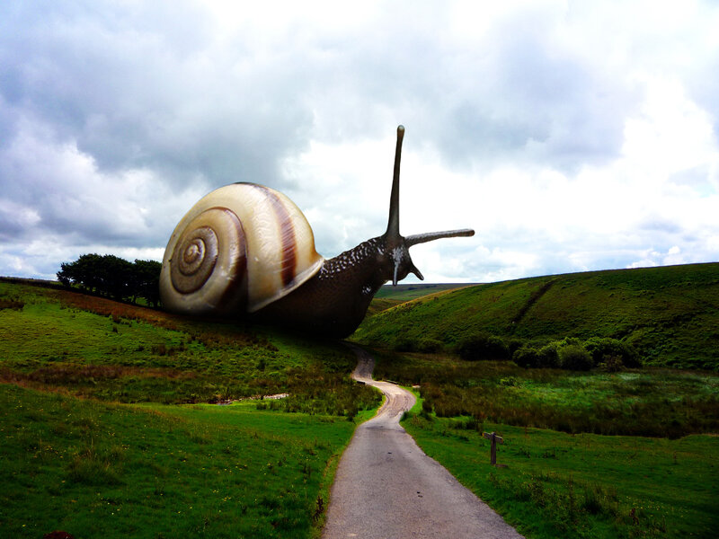Giant Snail on Hill
