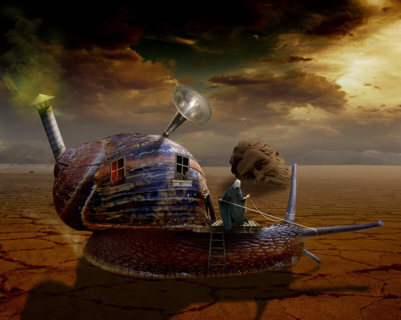 Giant Snail with House