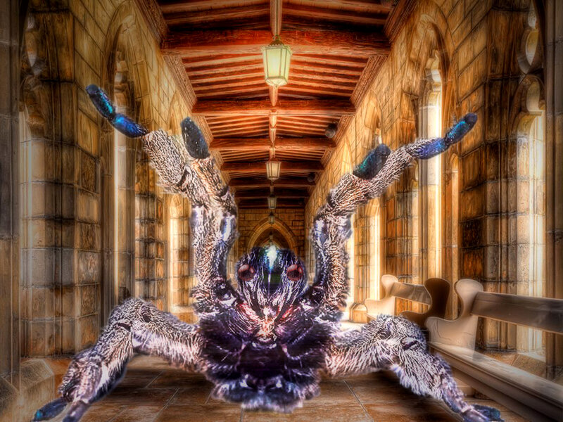 Giant Spider Creature — Brown