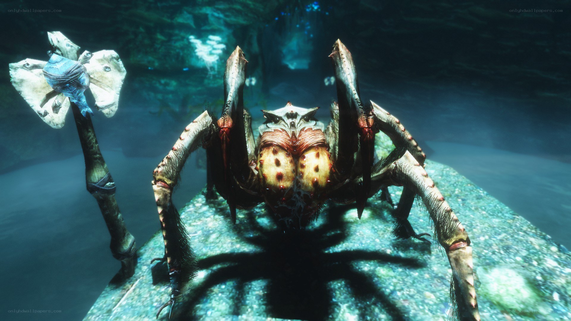 giant spider creature underwater