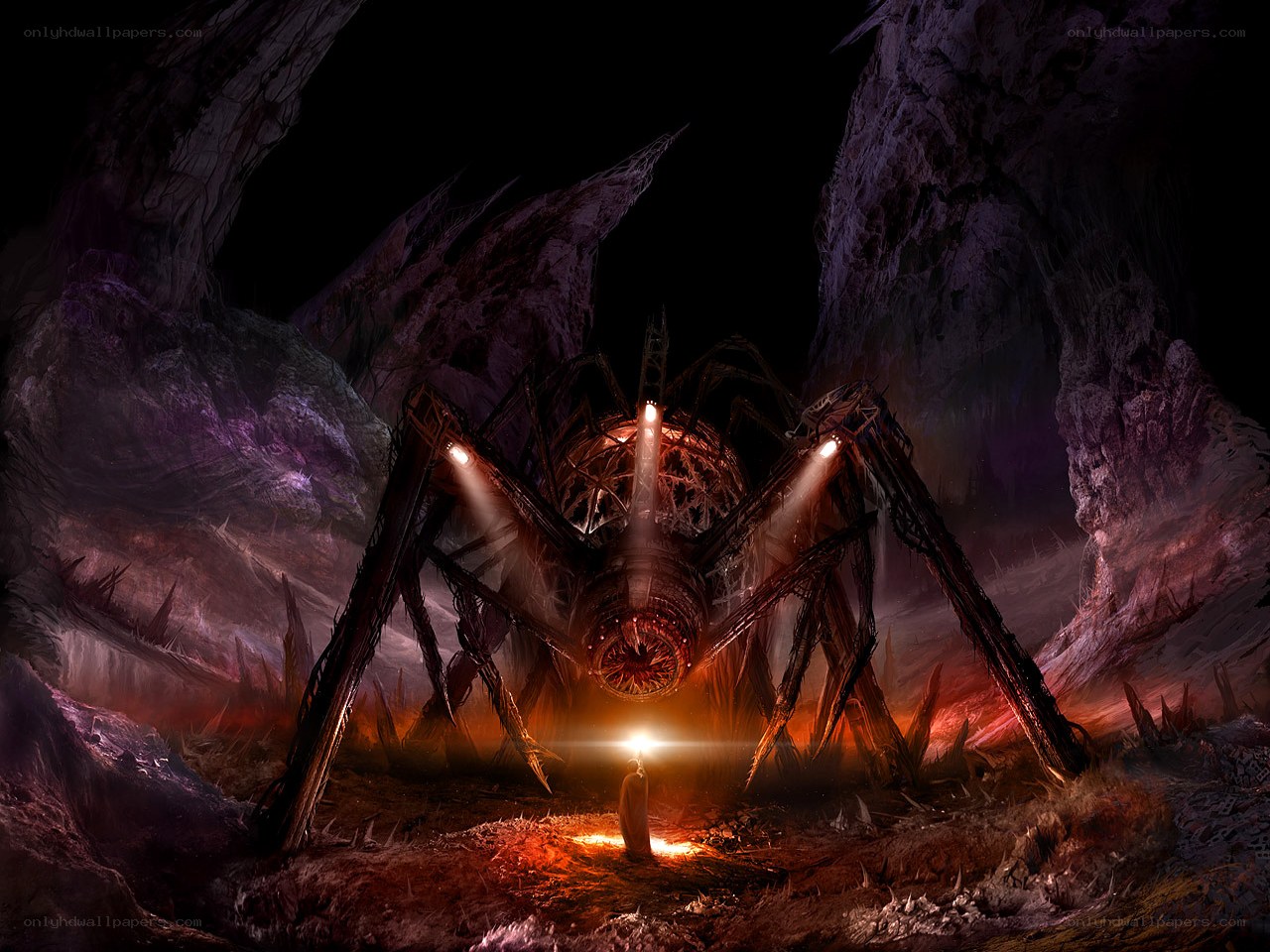 giant spider in a dark cave