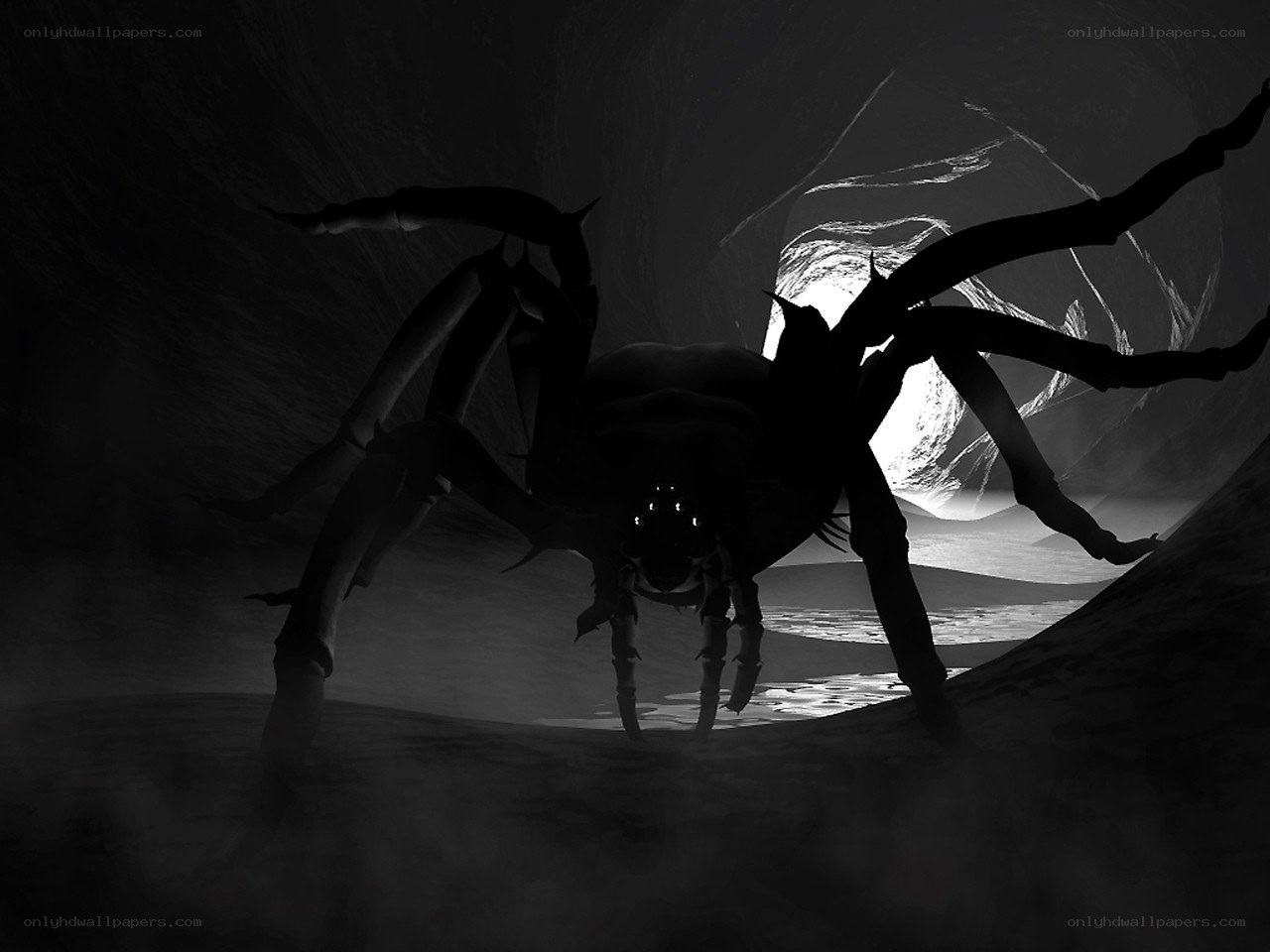 Giant spider in dark cave